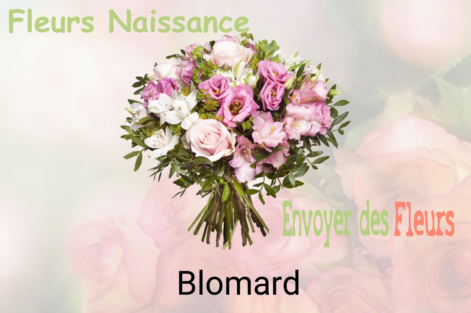 Bouquet de fleurs de naissance livré à Blomard